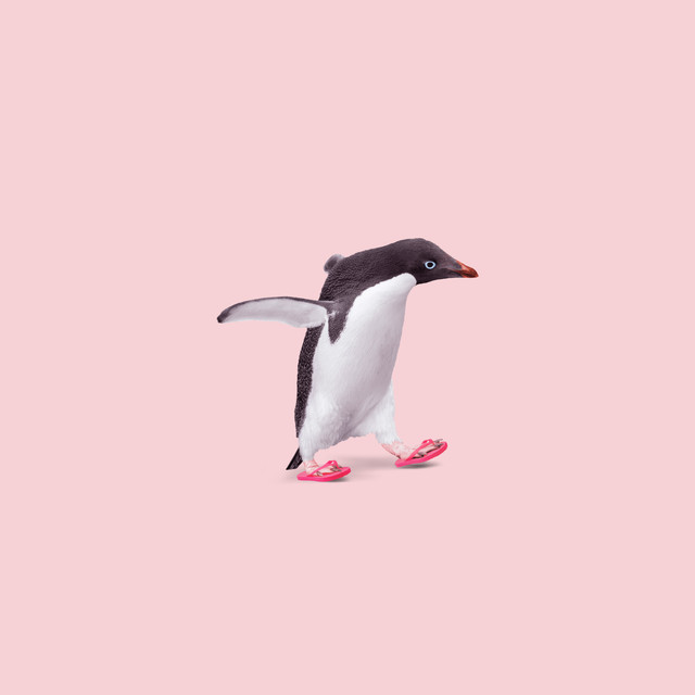Kissen Flip Flop Penguin