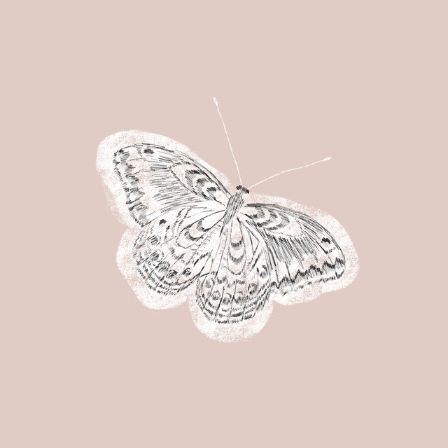 Textilposter Butterfly Soft Pink