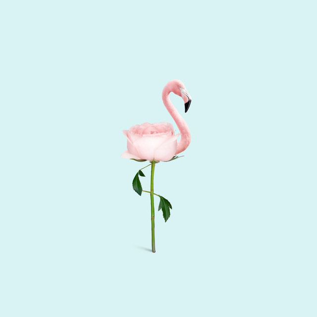 Kissen Flamingo Flower