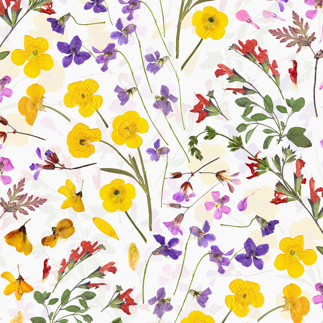 Textilposter Mittsommer Blumen Wiese