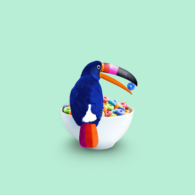 Textilposter Cereal Toucan