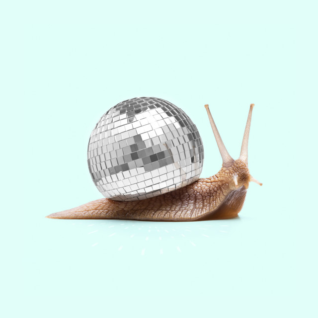 Kissen Disco Snail