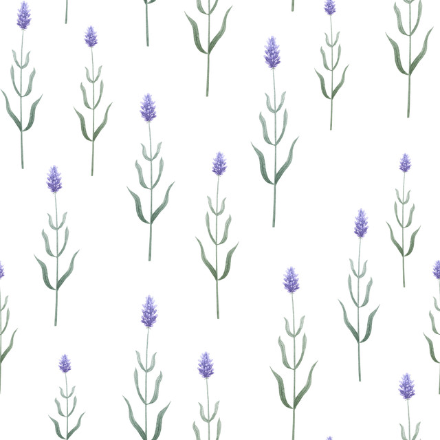 Meterware Blooming Lavender