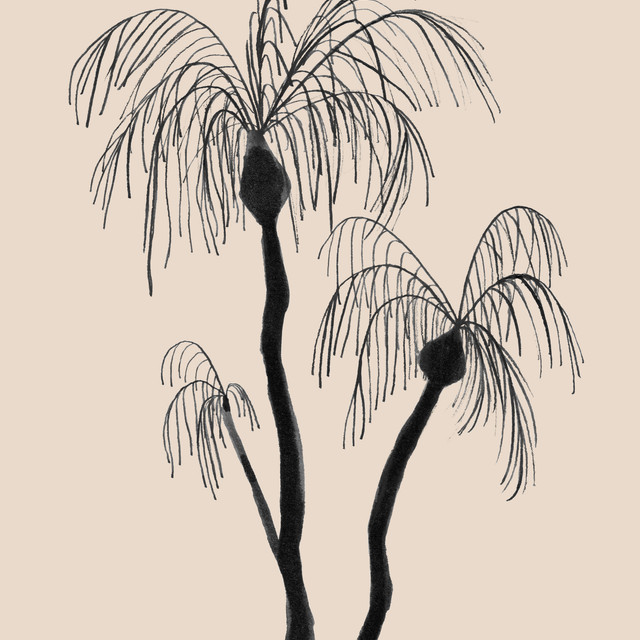 Servietten Palmen monochrom