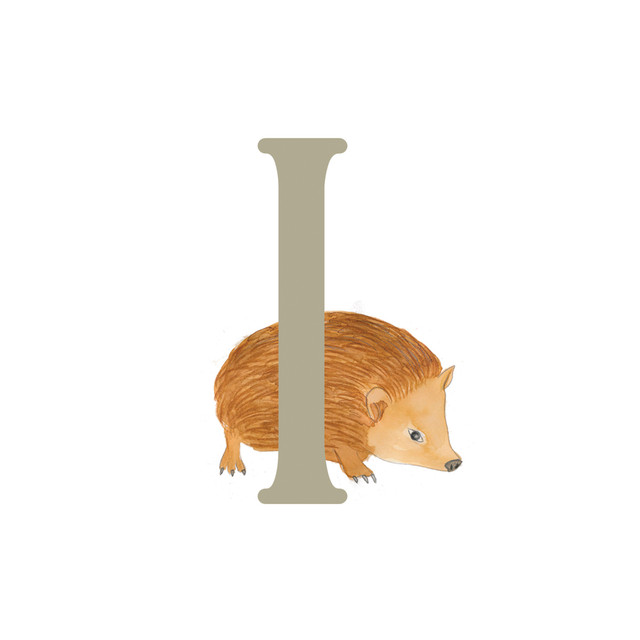 Kissen I-Igel