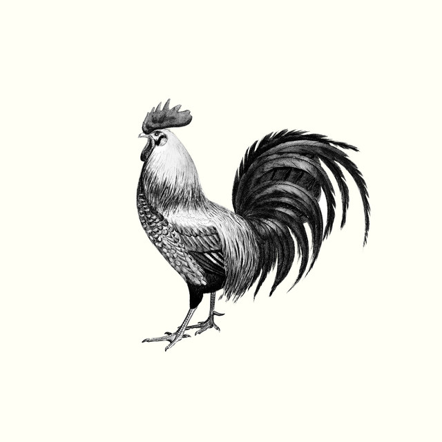 Bankauflage The Vintage Rooster