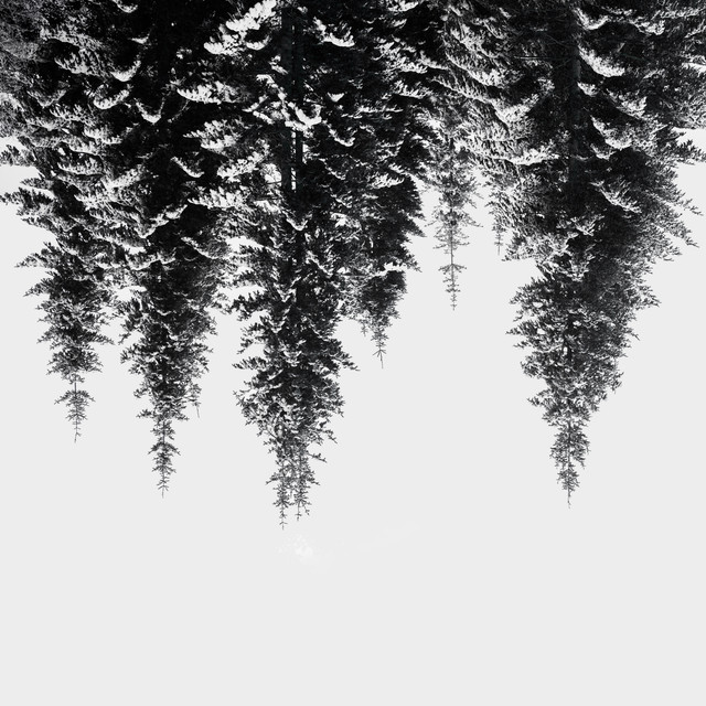 Tischläufer Snow Covered Trees
