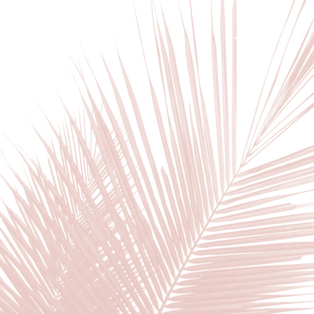 Kissen Minimalist Pink Palmenblatt