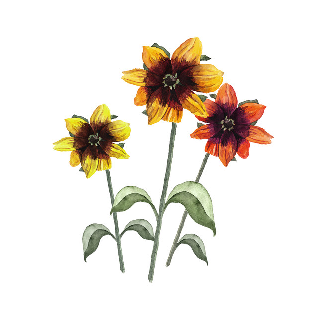 Textilposter Sonnenblumen