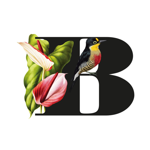 Servietten Botanical Alphabet B