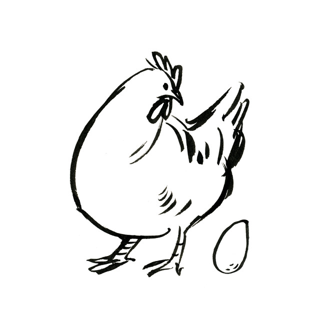 Kissen Huhn Trude Weiß