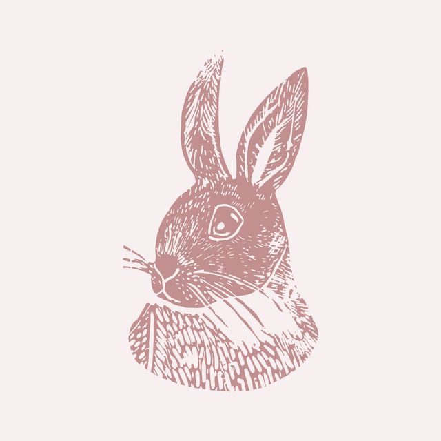 Kissen Bunny altrosa