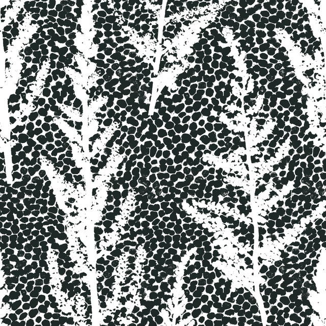 Kissen Euphoria anthracite