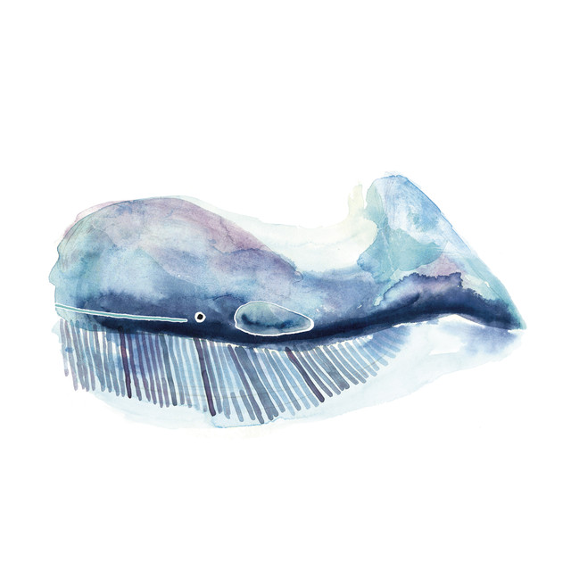 Textilposter Blauer Wal