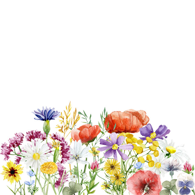 Kissen Blumenwiese