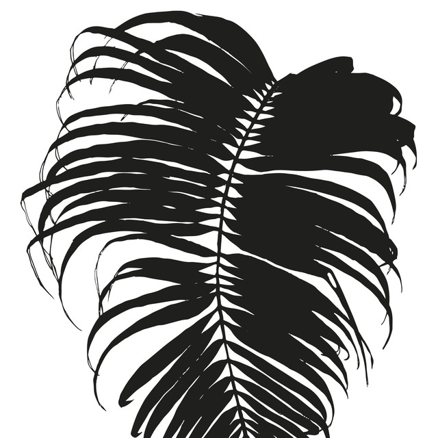 Geschirrtücher Butterfly Palm Leaf - Black