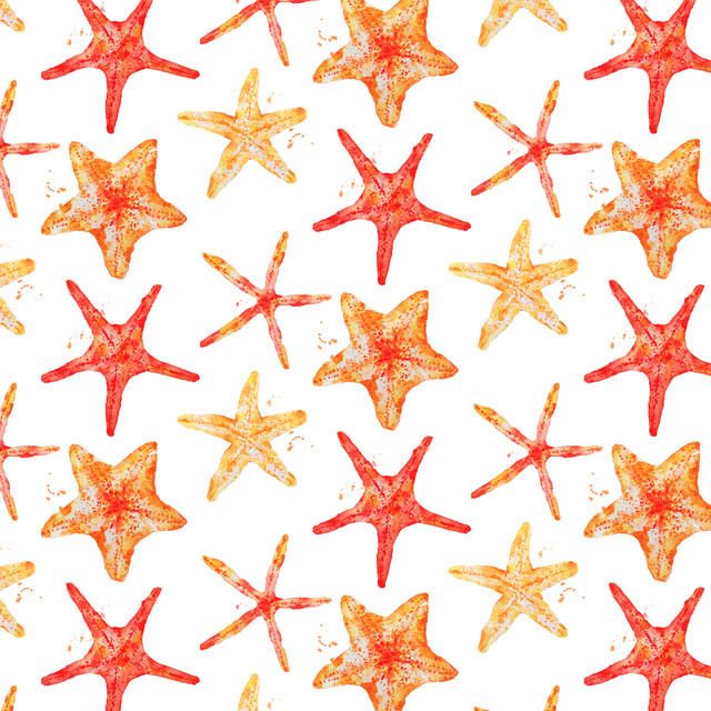 Kissen Starfish