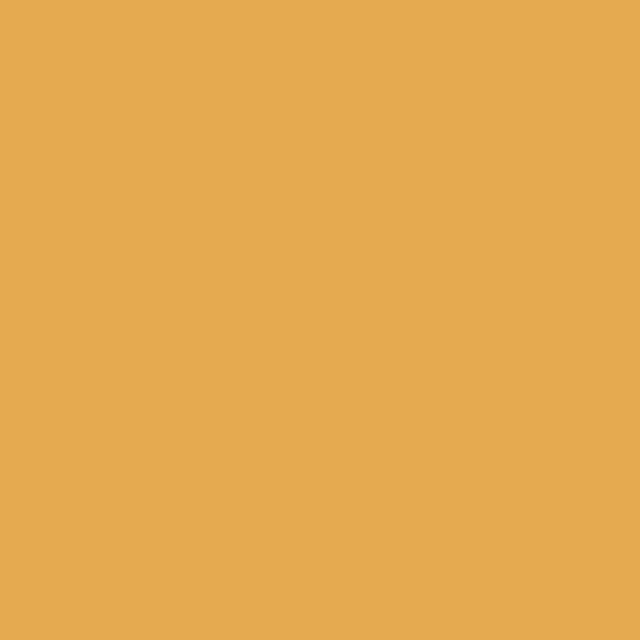 Kissen colors Orange