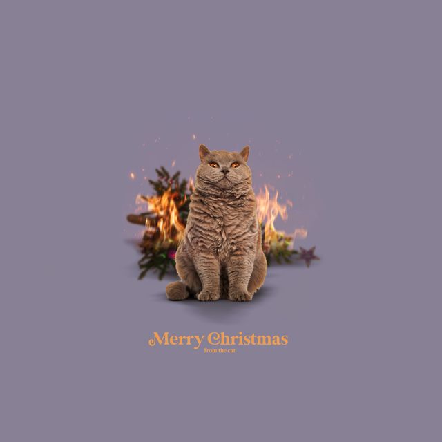 Sitzkissen Merry Christmas From The Cat