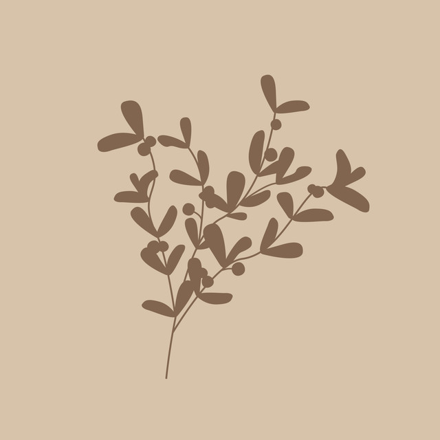 Geschirrtücher Boho Mistletoe sand