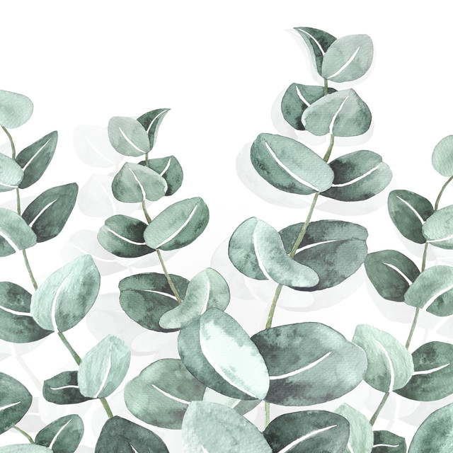 Tischset Eucalyptus Watercolor Leaves