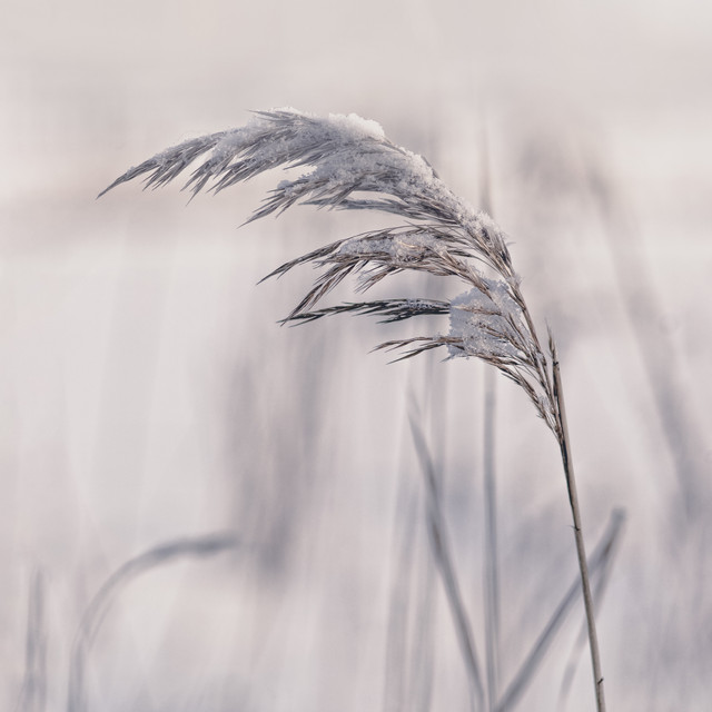 Textilposter Winterstille