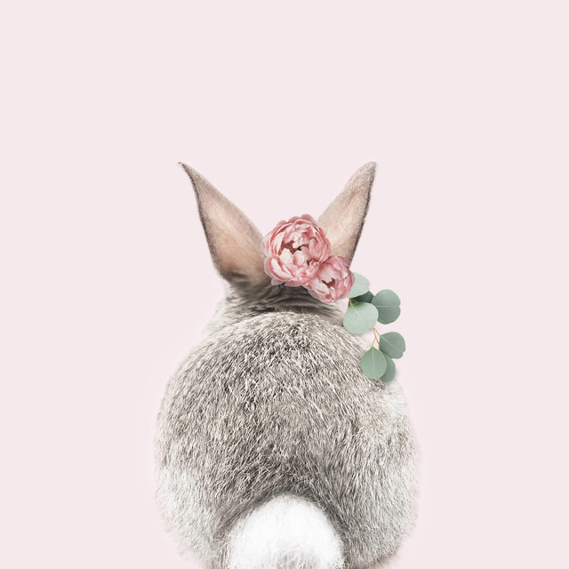 Kissen Bunny 2