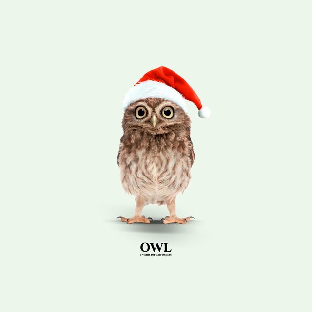Servietten Owl I Want For Christmas