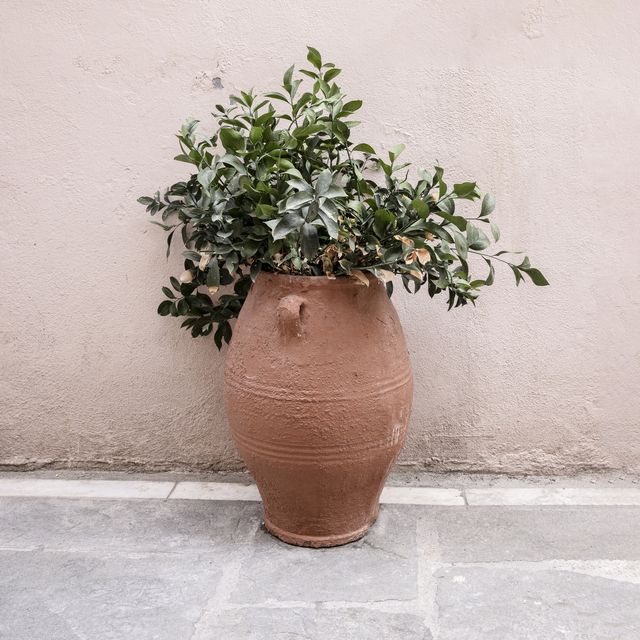 Kissen Terracotta Vase