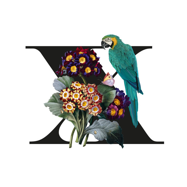 Geschirrtücher Botanical Alphabet X