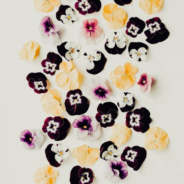 Textilposter Pansy Flowers