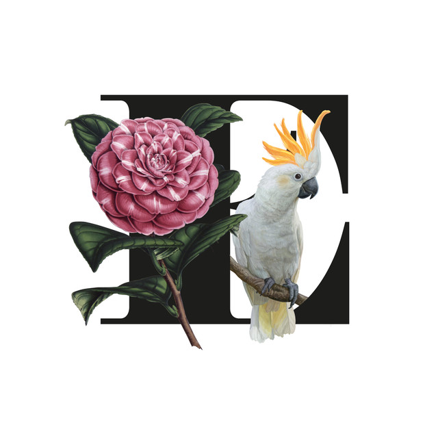 Geschirrtücher Botanical Alphabet E