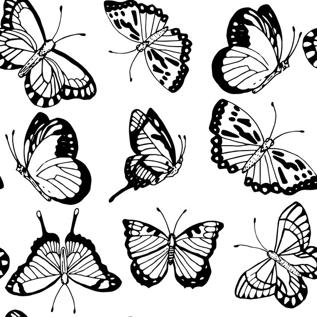 Kissen Schmetterlinge Schwarz Weiß
