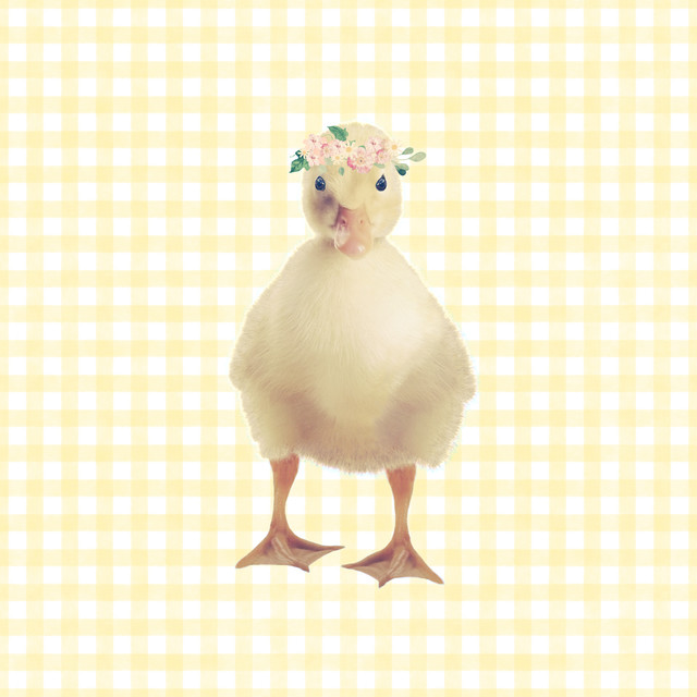 Kissen Gelbe Ente mit Blumenkranz