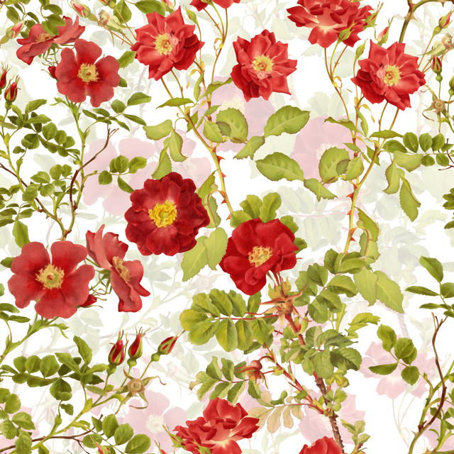 Kissen Rote Vintage Wildrosen
