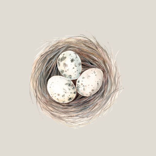 Geschirrtücher Nest mit 3 Eiern
