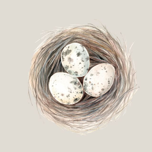 Tischset Nest mit 3 Eiern