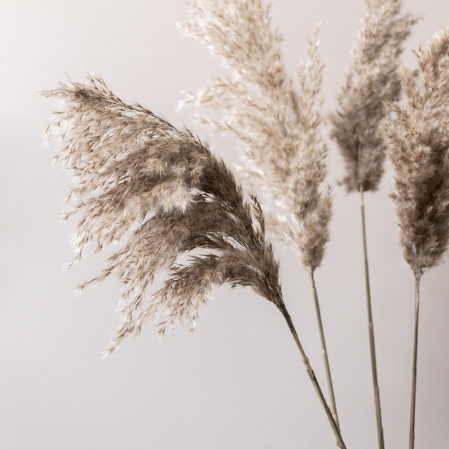 Textilposter Grass 24