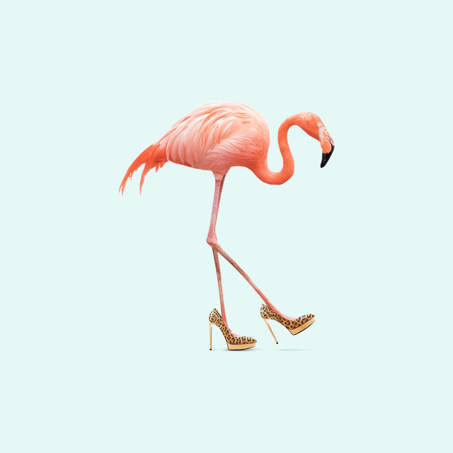 BettwäscheFancy Flamingo