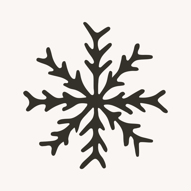 Kissen Snowflake charcoal beige