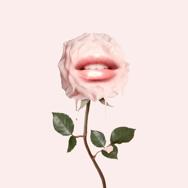 Kissen Glossy Rose