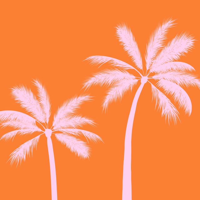Tischset Tropical Palms sunrise orange