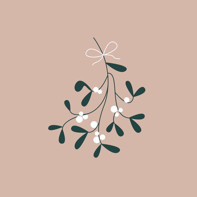 Kissen Christmas Mistletoe nude