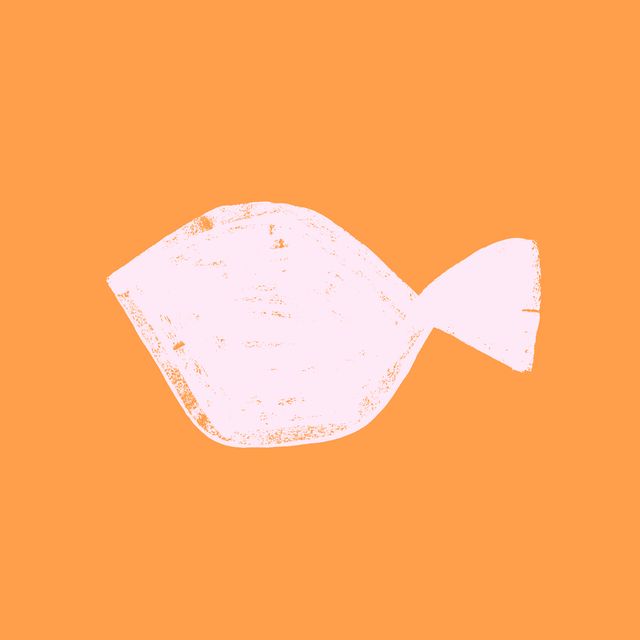 KissenSUN FISH