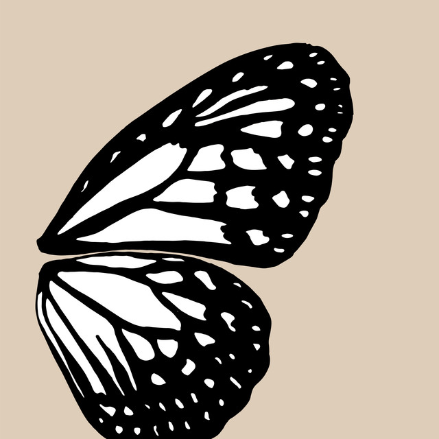 Textilposter Butterfly Wing