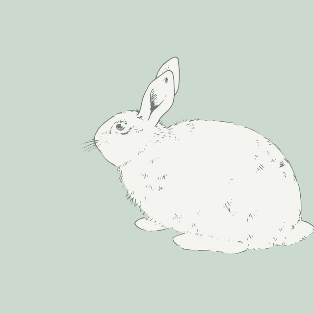 Kissen Hase lines milky green