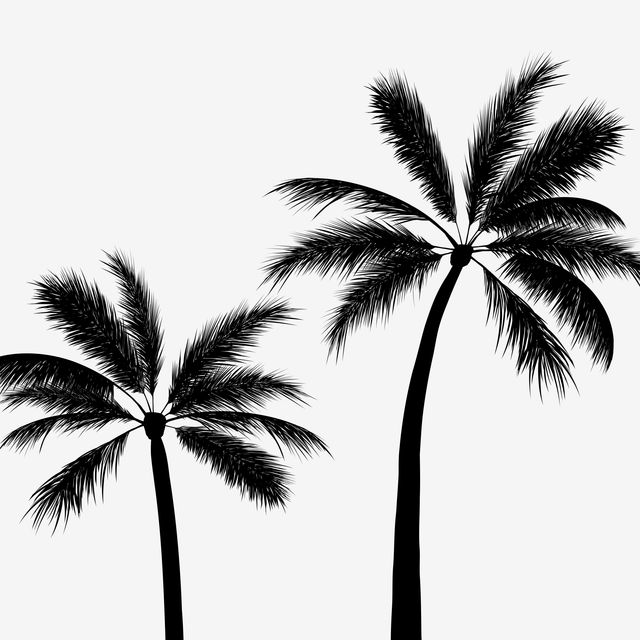 Kissen Tropical Palms black