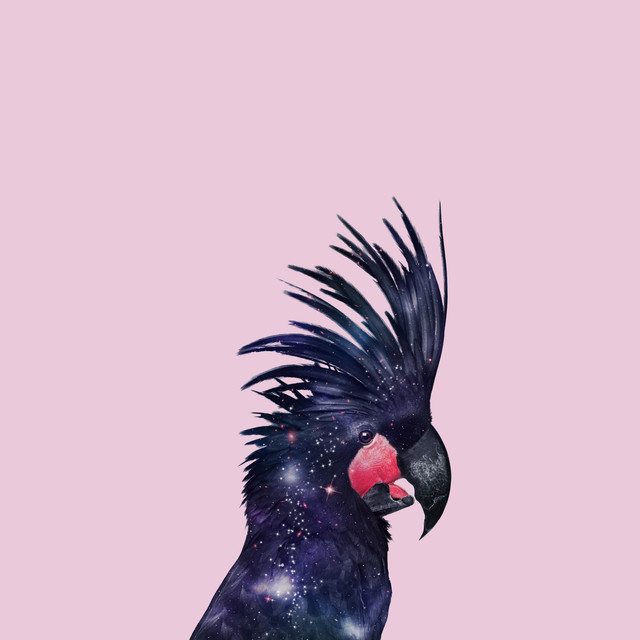 Kissen Galaxy Bird