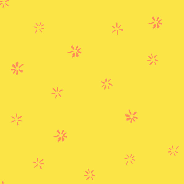 Bodenkissen Sternblume Illuminating Yellow