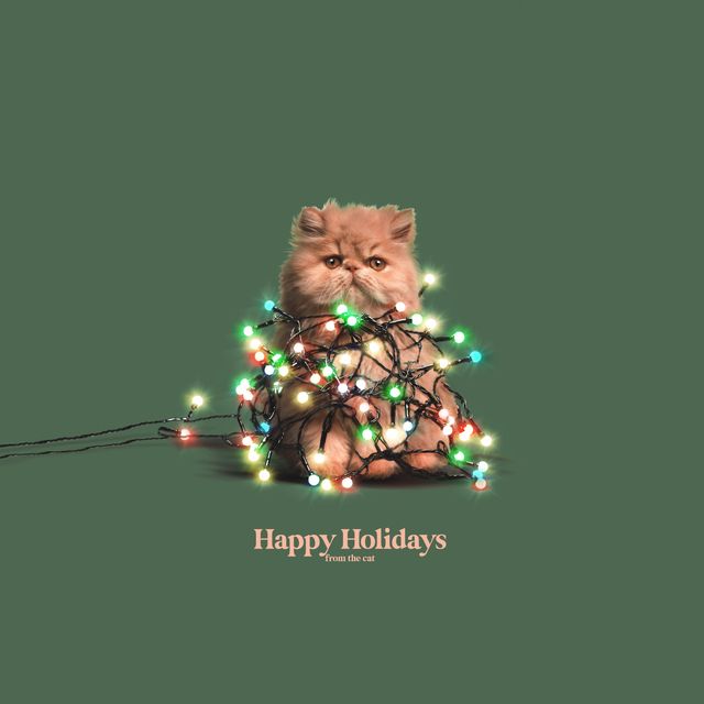 Kissen Happy Holidays From The Cat